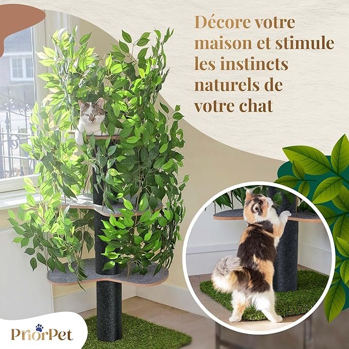 Arbre à chat design naturel avec feuilles décoratives, plateformes robustes et esthétique végétale