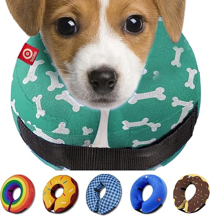 collier gonflable chien – protection post-opératoire douce et ajustable, alternative confortable au cône rigide, disponible en plusieurs tailles et coloris