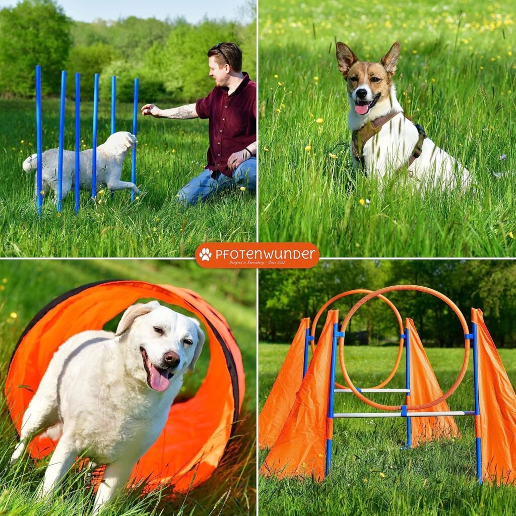 équipement agility chien complet – tunnel XXL, slalom, anneaux, kit pro pour parcours à domicile