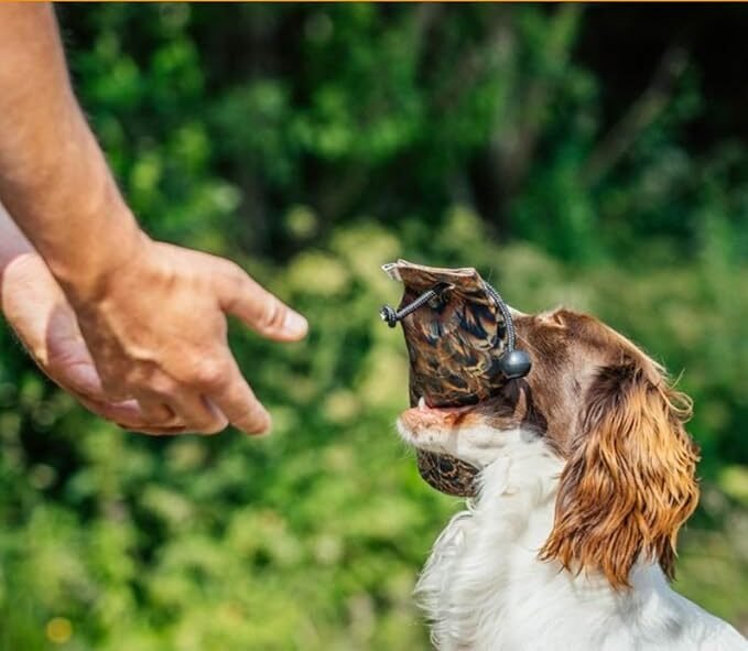 apportable chien chasse – mannequin réaliste pour apprentissage du rapport et dressage doux