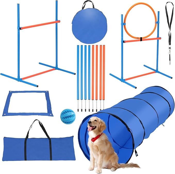 kit hooper agility chien – tunnel, slalom, anneau pour parcours fluide à domicile