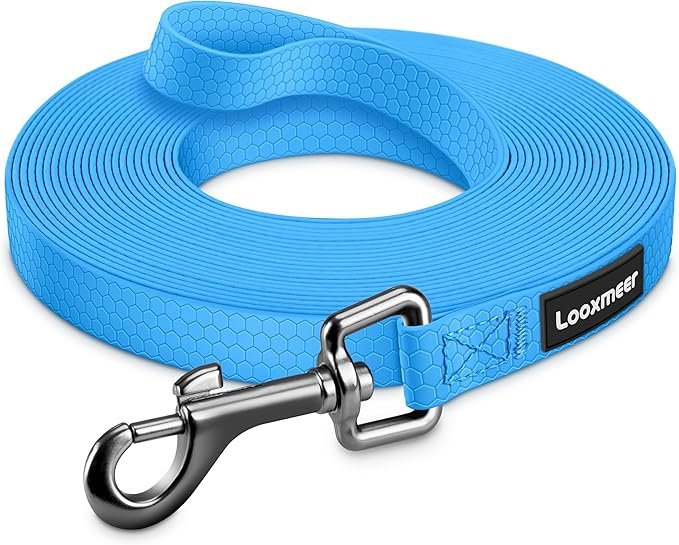laisse longue pour chien en nylon – idéale pour promenade, rappel et sécurité en extérieur