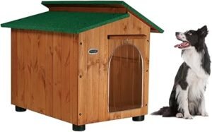 niche en bois pour chien robuste avec toit bitumé et plancher surélevé, idéale pour extérieur toute saison