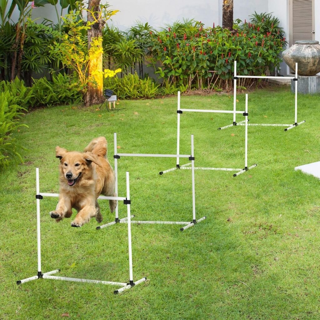 obstacle agility pour chien réglable – haies pour parcours d'entraînement extérieur