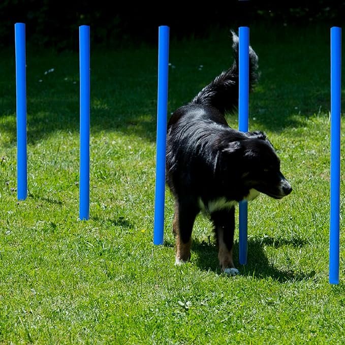 slalom pour chien en kit – dressage agility extérieur facile à installer