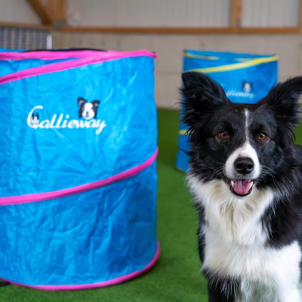 tonneaux hooper agility chien – obstacles souples pliables pour parcours canin sans saut