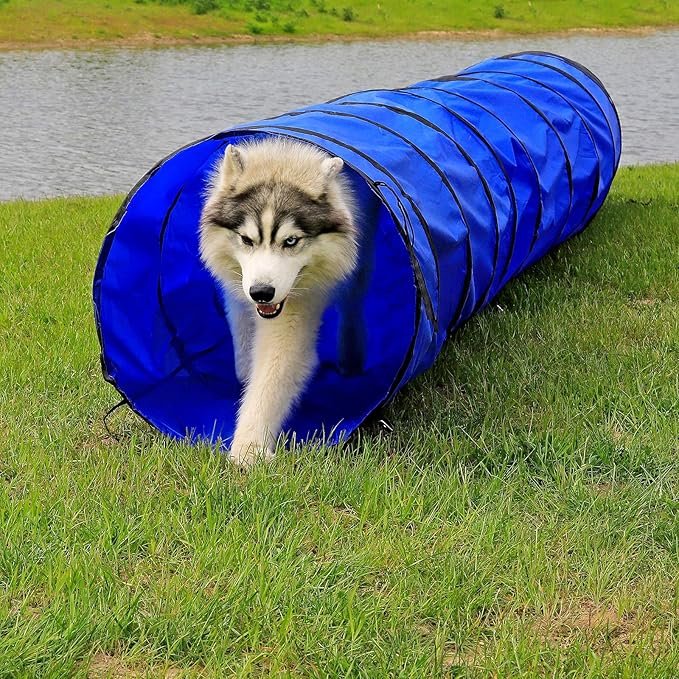 tunnel agility chien – tunnel pliable pour entraînement et parcours agility à domicile
