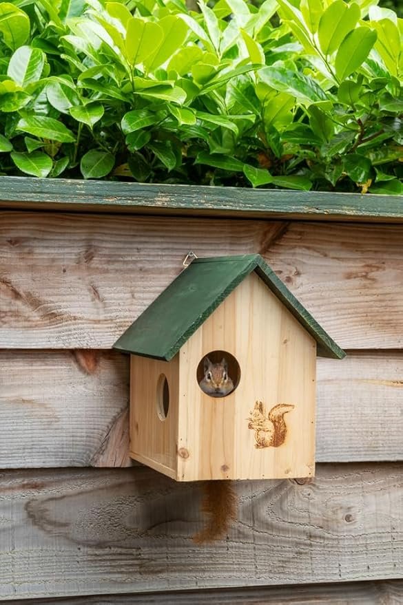 Maison pour écureuil en bois installée sur un arbre dans un jardin naturel