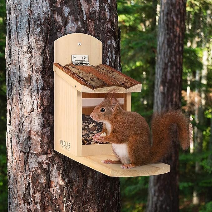 Mangeoire à écureuil en bois avec toit en écorce naturelle pour jardin