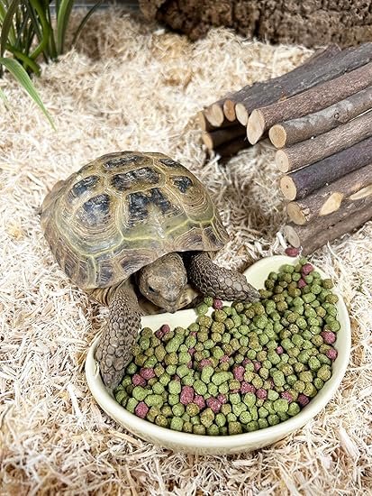 Nourriture pour tortue terrestre – mélange de plantes séchées riche en fibres, idéal pour une alimentation saine et équilibrée au quotidien