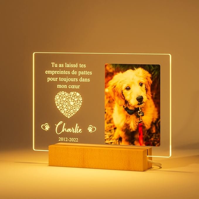 Plaque commémorative pour chien avec lumière douce et gravure personnalisée