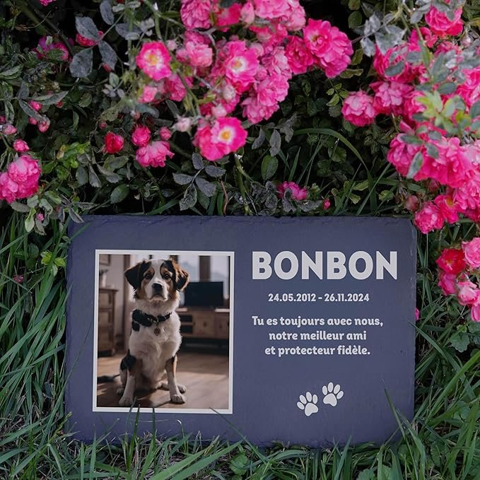 Plaque tombale pour chien personnalisée – gravée en ardoise naturelle, résistante aux intempéries, pour rendre hommage à son compagnon à quatre pattes dans un jardin ou lieu de repos.