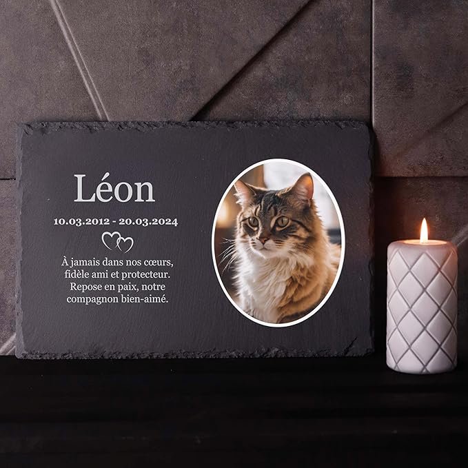 Plaque tombale pour chat avec gravure personnalisée – hommage durable et discret pour un coin de mémoire dans le jardin ou à la maison