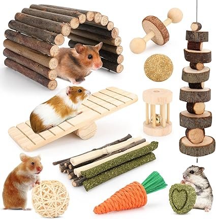 Lot d'accessoires pour octodon avec jouets à grimper, à mâcher et balançoires en bois naturel