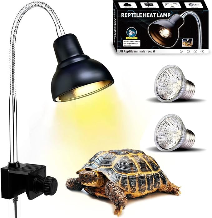 Lampe chauffante pour tortue terrestre installée dans un terrarium avec une tortue basking sous la lumière