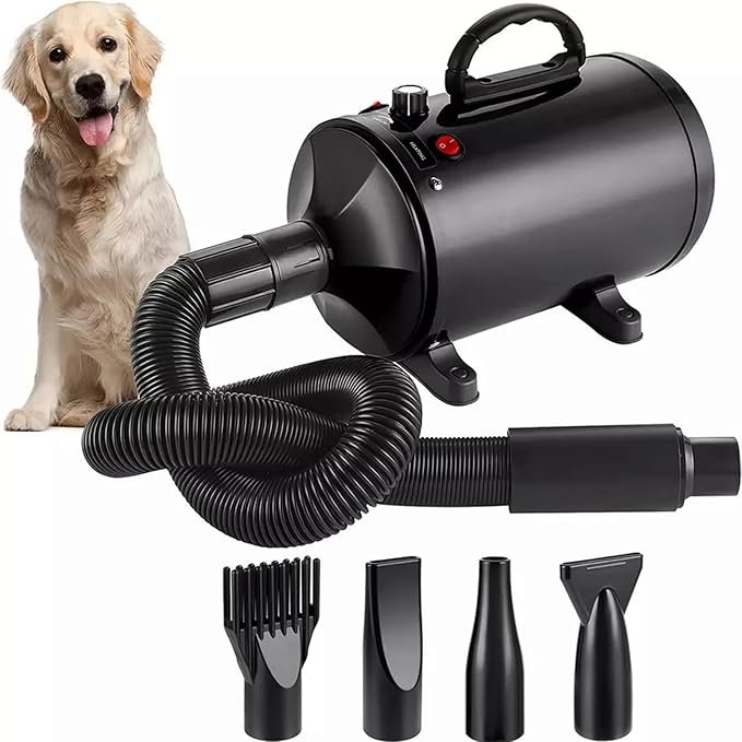 pulseur professionnel pour chien silencieux utilisé à domicile après le bain