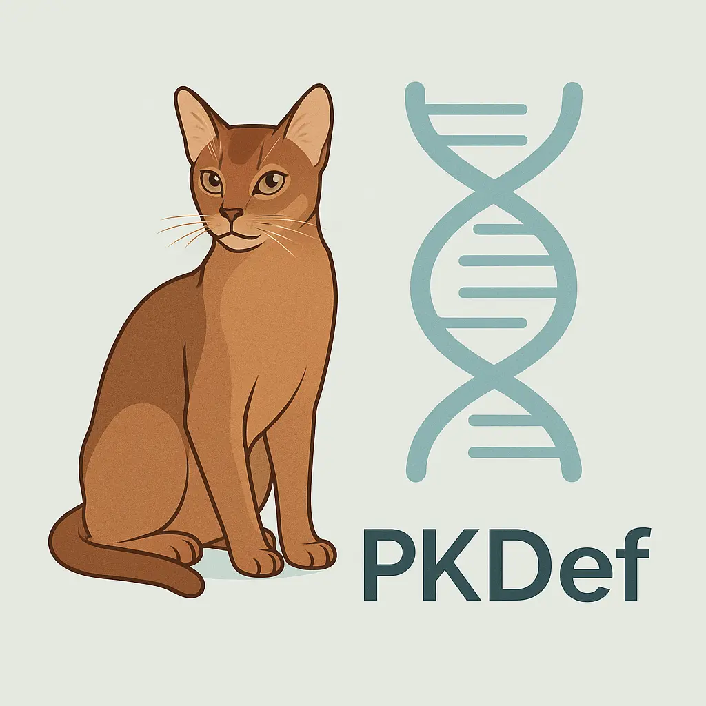 Chat Abyssin devant un schéma d’ADN, symbole de la maladie génétique PKDef.