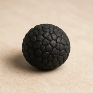 Truffe noire en gros plan, montrant sa surface bosselée et veinée sur fond blanc