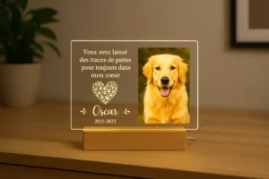 Plaque Commémorative pour Chien – Gravée & Personnalisée