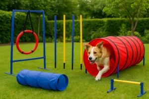 Kit Agility Chien – Tunnel, Slalom et Obstacle Réglable