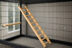 Échelle en Bois pour Calopsitte – Simple et Économique