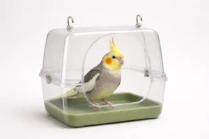 Bain pour Calopsitte – Baignoire Transparente Adaptable
