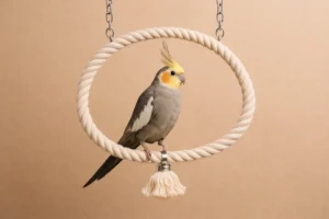 Anneau pour Calopsitte en Coton – Jouet Suspendu Oiseau